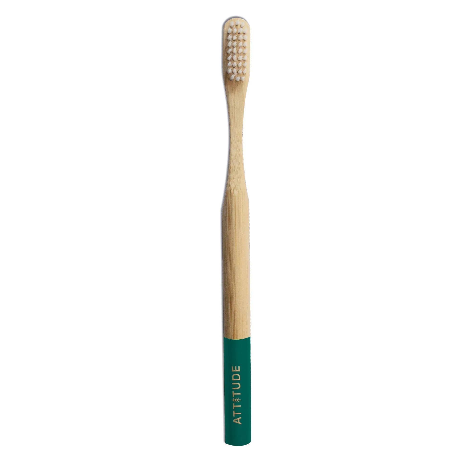 Adult toothbrush