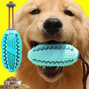 Center Popular Rubber Kong Dog Toys