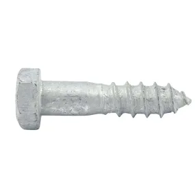 Coach Screw Galv M12 x 50